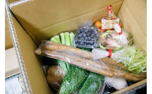 【B0-008】道の駅松浦海のふるさと館『旬のお野菜＋お米5kg』の大満足セット！