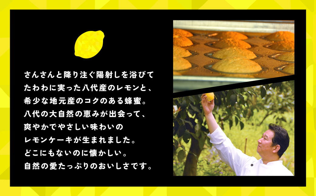 八代市産 レモン使用 レモンケーキ 15個 ボンブ 茶菓子 ケーキ スイーツ 洋菓子