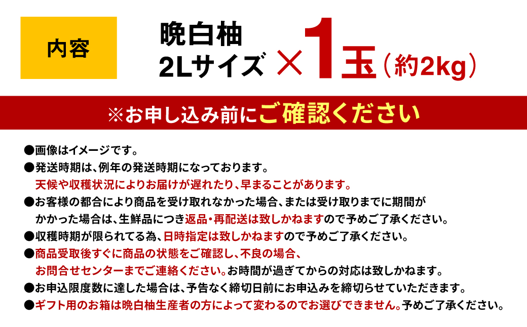 先行予約】 八代特産 晩白柚（ばんぺいゆ）2Lサイズ（約2kg) ×1玉