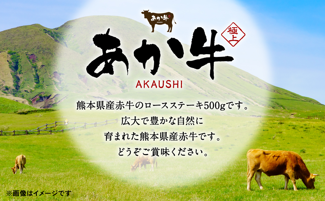 肥後のあか牛 ロースステーキ 約500g（約250g×2） 和牛 ロース ステーキ 牛肉