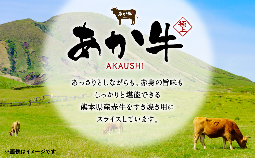 肥後のあか牛 すきやき用 1kg (500g×2) 熊本県産和牛 スライス