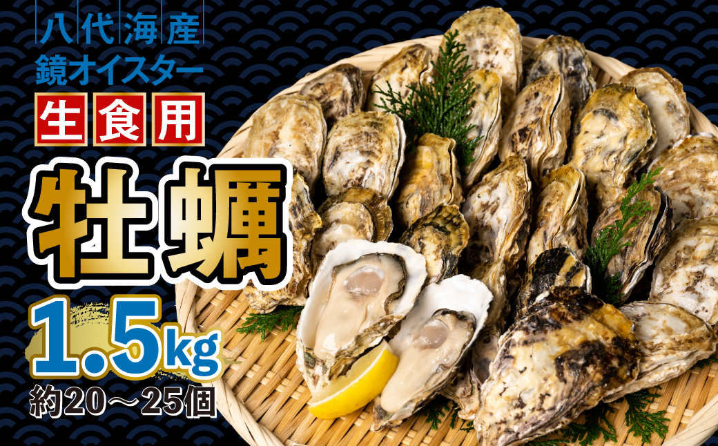 【先行予約】 牡蠣　鏡オイスター 生食用 1.5kg オイスター 新鮮【2024年12月中旬より順次発送】 