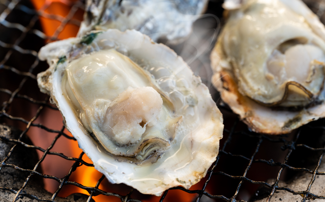 【先行予約】牡蠣 鏡オイスター 生食用 3kg 生かき 新鮮【2024年12月中旬より順次発送】