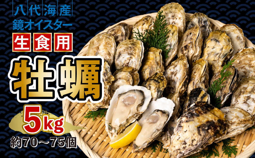 【先行予約】 牡蠣 鏡オイスター 生食用 5kg 生かき 新鮮【2024年12月中旬より順次発送】