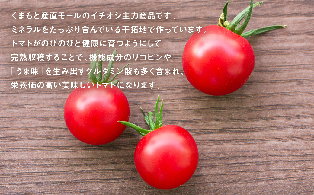 【甘みと酸味のバランス、旨みが絶妙な代表作】完熟収穫ミニトマト 約3kg トマト 甘い 野菜 旬 サラダ