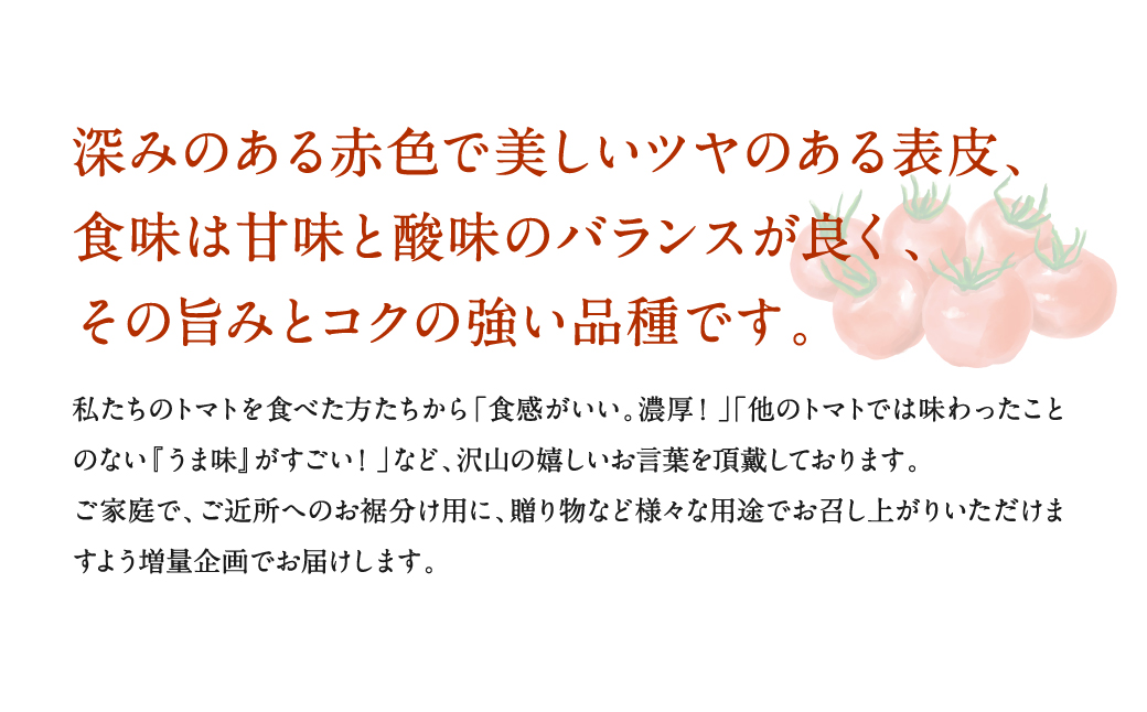 【甘みと酸味のバランス、旨みが絶妙な代表作】完熟収穫ミニトマト 約3kg トマト 甘い 野菜 旬 サラダ