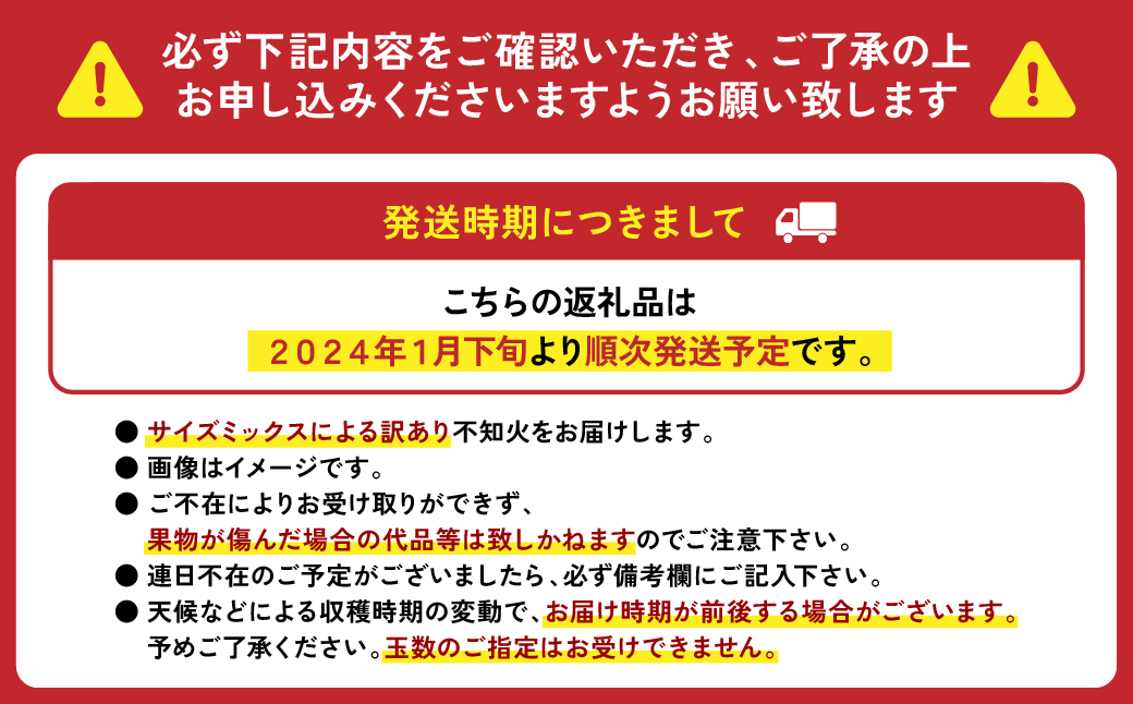 先行予約】 【訳あり】 不知火3kg サイズミックス 【2024年1月下旬より