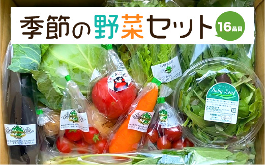 季節の野菜 16品目セット