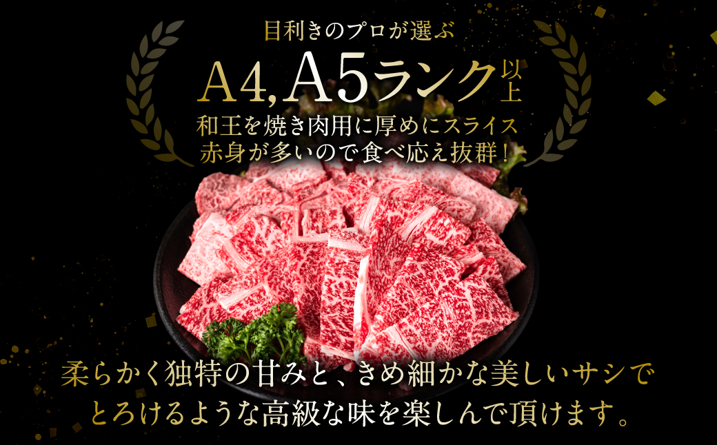 極和王シリーズ くまもと黒毛和牛 焼肉モモウデ 500g 熊本県産 牛肉