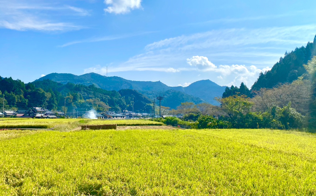 【先行予約】令和6年産 鶴喰米 精米300g(2合分) ×1袋 お米 米 白米 精米 ご飯 熊本県産 国産 食べきりサイズ ポスト投函 【2024年10月中旬より順次発送】