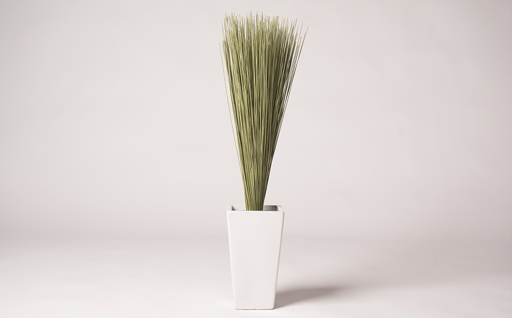 八代市 装飾い草「香雅美草」 60cm×3cm 120g 5本 熊本県産