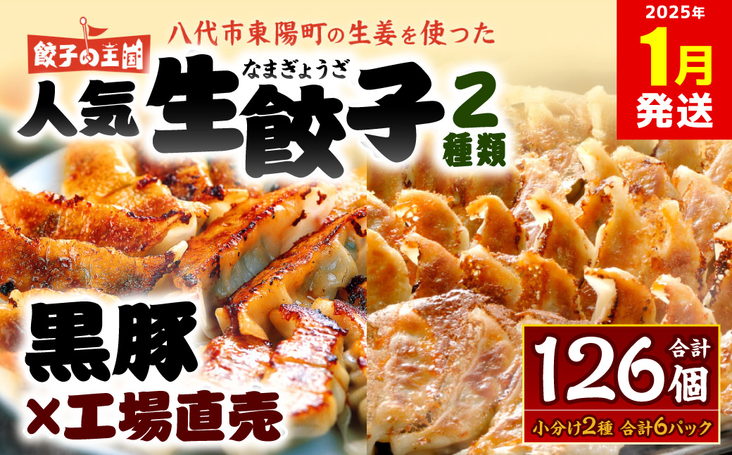 【2025年1月発送】八代市東陽町の生姜を使った 餃子の王国 人気生餃子126個 ぎょうざ ギョウザ