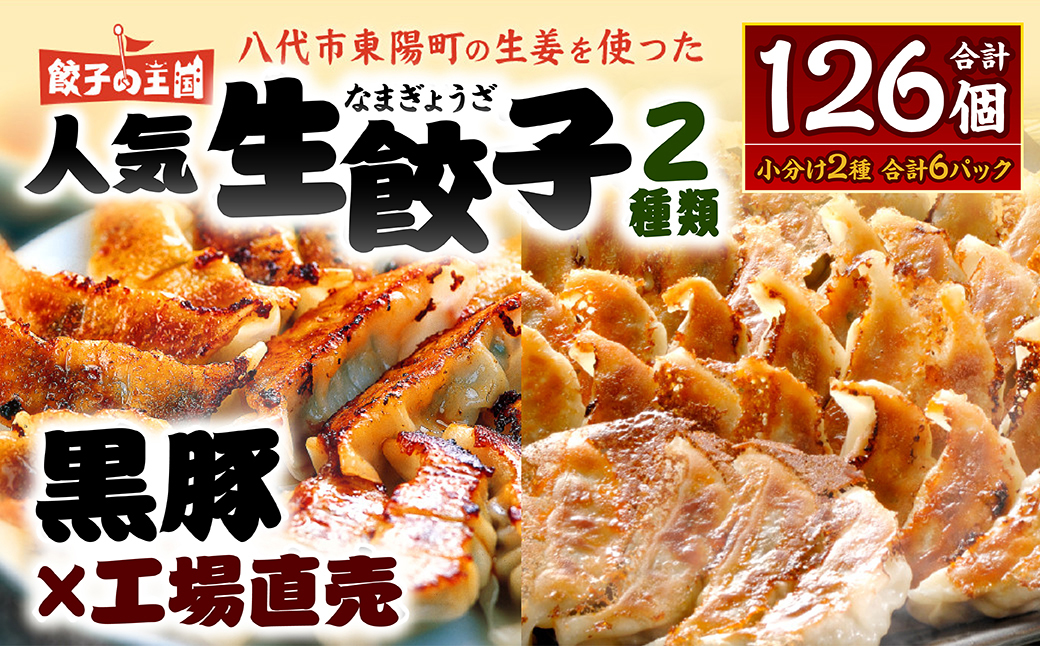 【順次発送】 八代市東陽町の生姜を使った 餃子の王国 人気生餃子126個 ぎょうざ ギョウザ