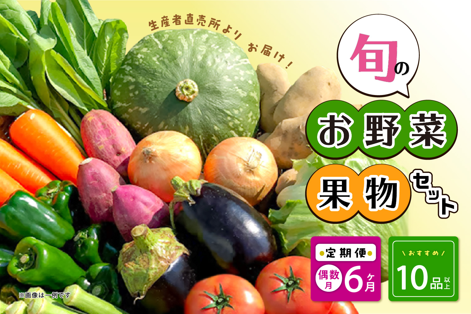 偶数月6ヶ月定期便】生産者直売所よりお届け！おまかせ旬のお野菜