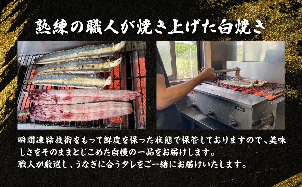 熊本県八代市産 天然うなぎ白焼き(中) 2本 (計300～350g) 蒲焼のたれ付き