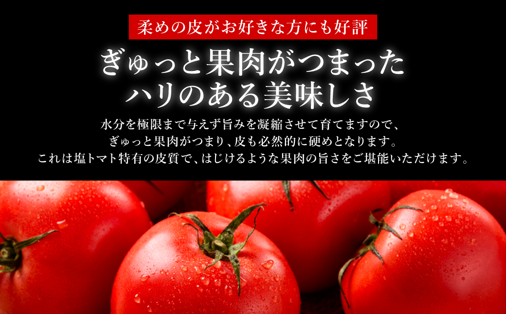 【先行予約】 くまもと塩トマト「ロイヤルセレブ」 1kg (糖度10度以上：9～16個入り) 【2025年1月上旬より順次発送】