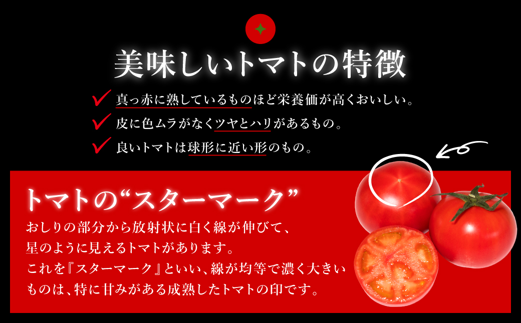 【先行予約】 くまもと塩トマト「ロイヤルセレブ」 1kg (糖度10度以上：9～16個入り) 【2025年1月上旬より順次発送】