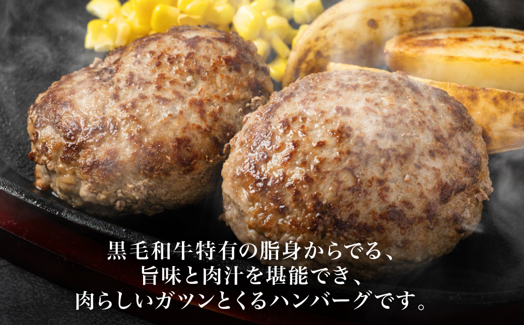 九州産 黒毛和牛ハンバーグ 960g (120g×8個)