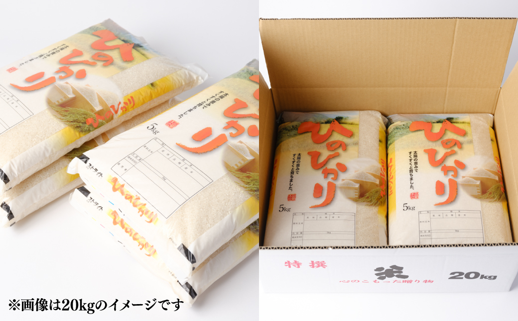 八代市産 ヒノヒカリ 30kg (30kg×1袋) 令和5年産 米 熊本 送料無料