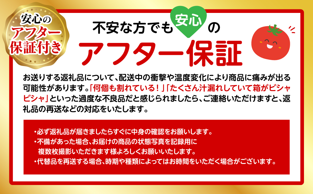 【先行予約】まるでフルーツの様なミニトマト 750g トマト 甘い 国産 野菜 やさい 【2024年12月上旬より順次発送】