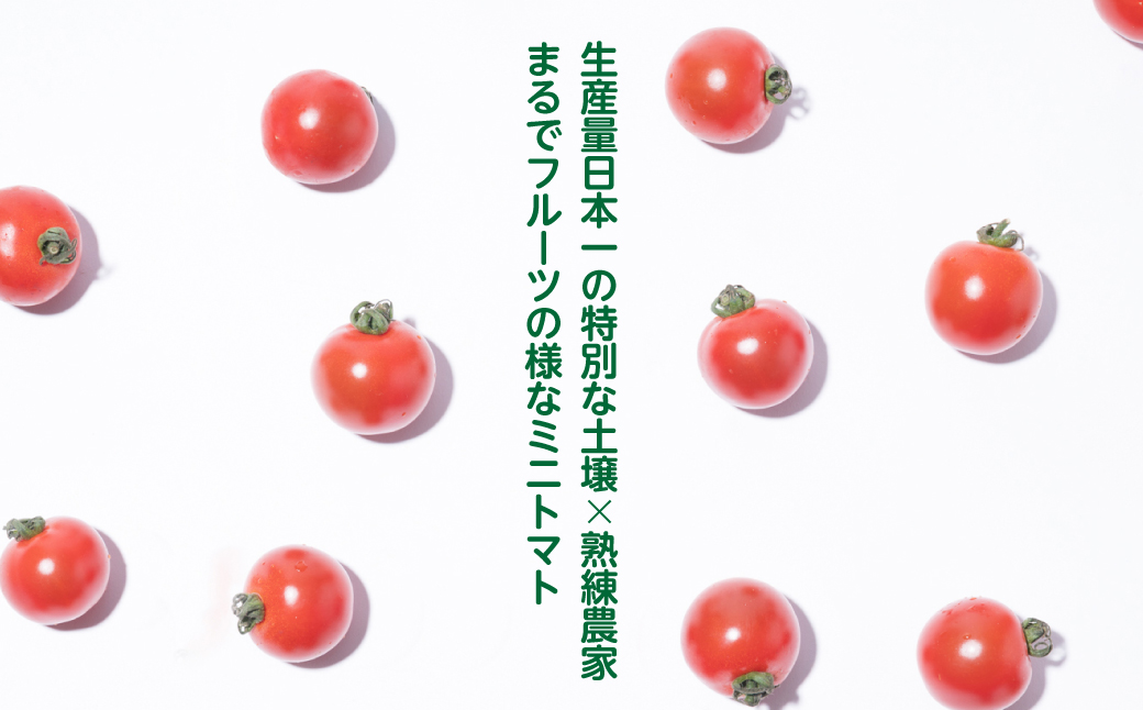 【先行予約】まるでフルーツの様なミニトマト 750g トマト 甘い 国産 野菜 やさい 【2024年12月上旬より順次発送】