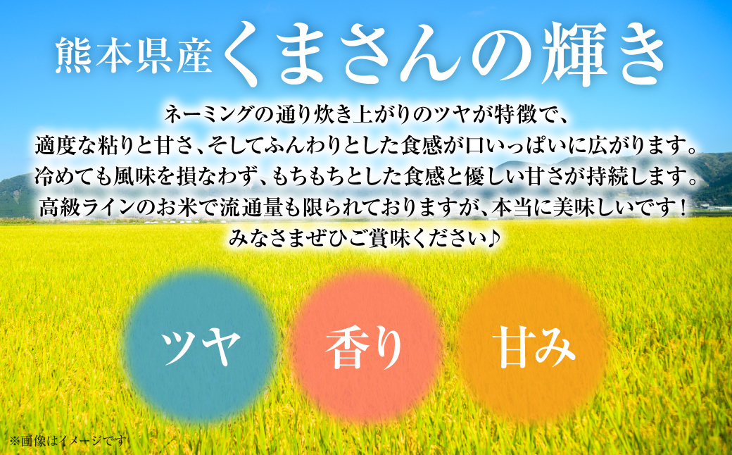 【令和5年産】 熊本県産 くまさんの輝き10kg （10kg×1袋） オリジナルパッケージ