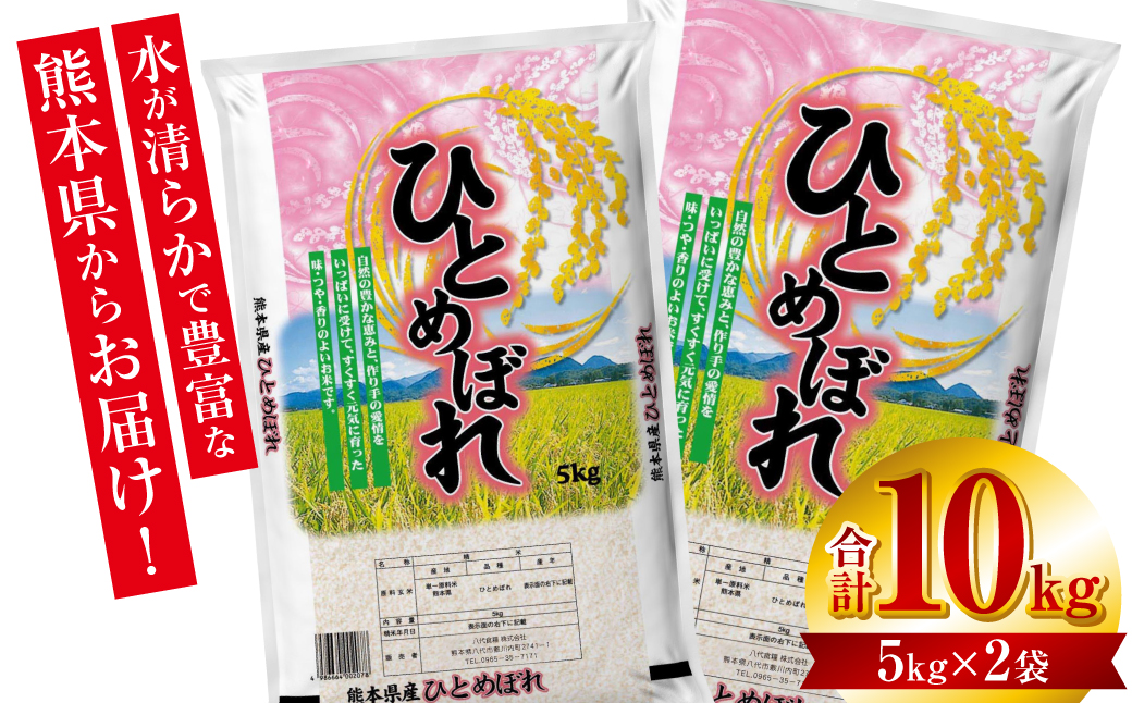 【令和6年産】≪新米≫ 熊本県産 ひとめぼれ 10kg（5kg×2袋） お米ひとすじ八代食糧！ 