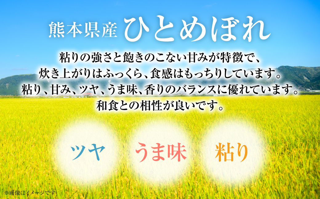 【令和6年産】≪新米≫ 熊本県産 ひとめぼれ 10kg（5kg×2袋） お米ひとすじ八代食糧！ 