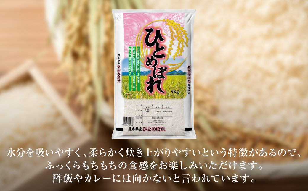 【令和6年産】≪新米≫ 熊本県産 ひとめぼれ 10kg（5kg×2袋） お米ひとすじ八代食糧！ 