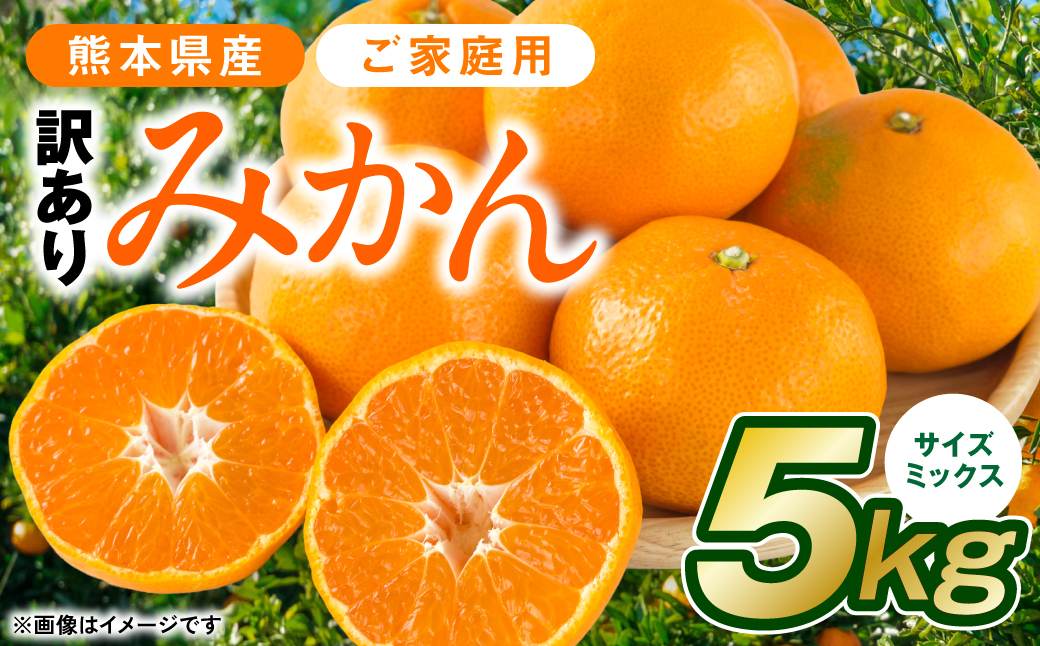 【先行予約】【訳あり】熊本県産 みかん サイズミックス 約5kg【2024年12月下旬より順次発送】