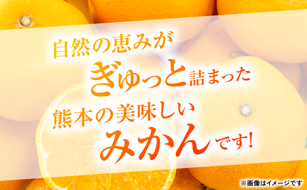 【先行予約】【訳あり】熊本県産 みかん サイズミックス 約5kg【2024年12月下旬より順次発送】