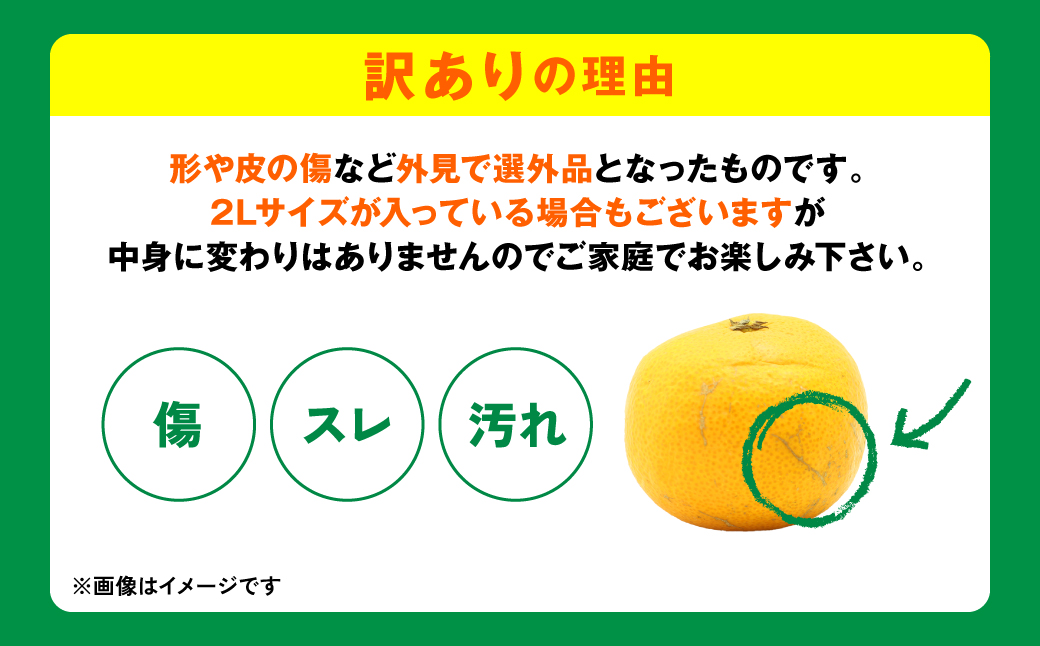 【先行予約】【訳あり】熊本県産 みかん サイズミックス 約5kg【2024年12月下旬より順次発送】