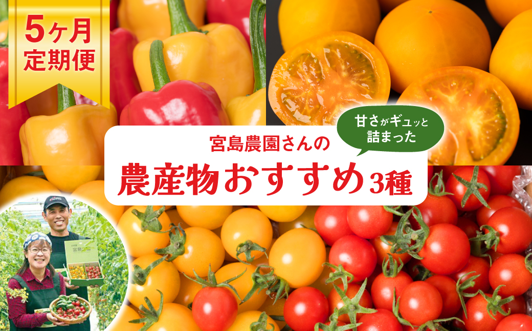 【先行予約】【定期便5回】八代市産 農産物おすすめ定期便 宮島農園 トマト パプリカ 野菜【2024年12月上旬より順次発送】