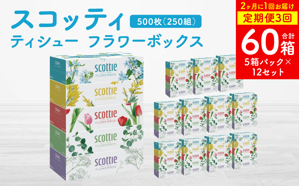 【定期便3回】【2ヶ月に1回お届け】【スコッティ】ティシュー フラワーボックス 250組 5箱パック×12セット 合計60箱 ティッシュ 日用品 生活必需品