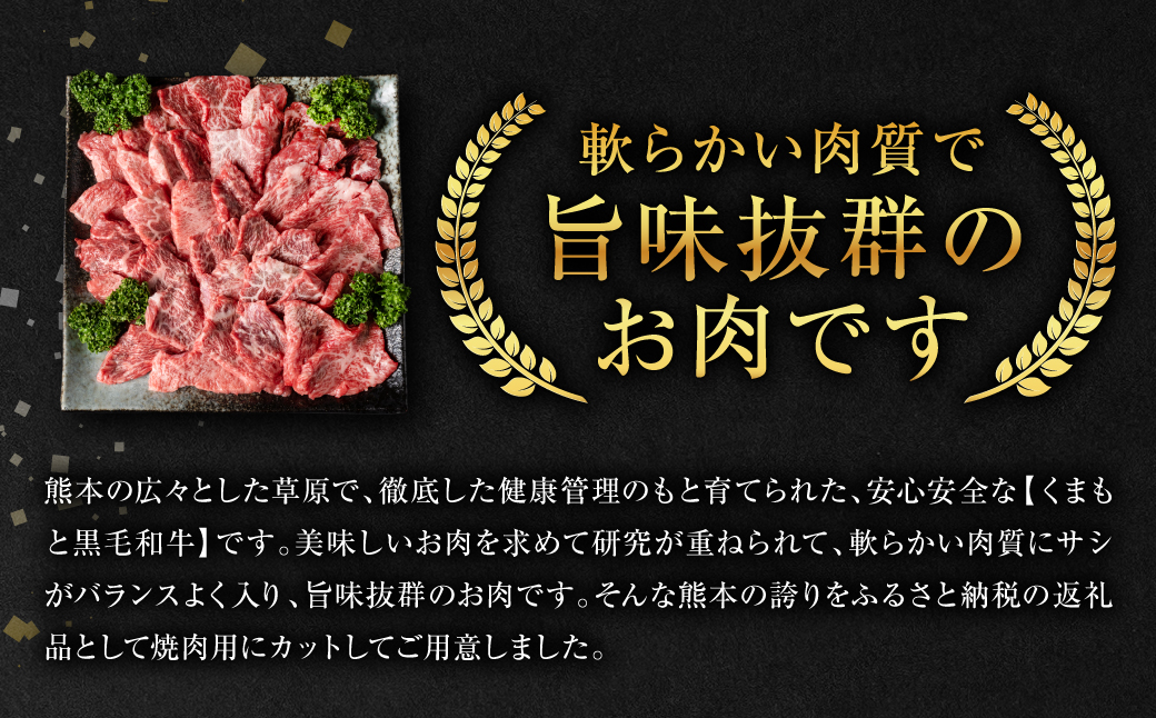 くまもと黒毛和牛 焼肉用 500g 牛肉 やきにく