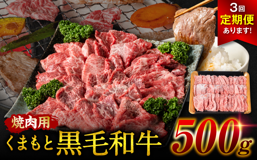 【定期便3回】くまもと黒毛和牛 焼肉用 500g ×3回 牛肉 やきにく