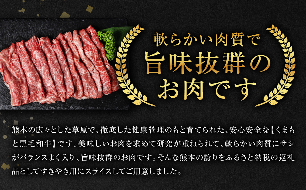 【定期便6回】くまもと黒毛和牛 すき焼き用 500g ×6回 牛肉 すきやき