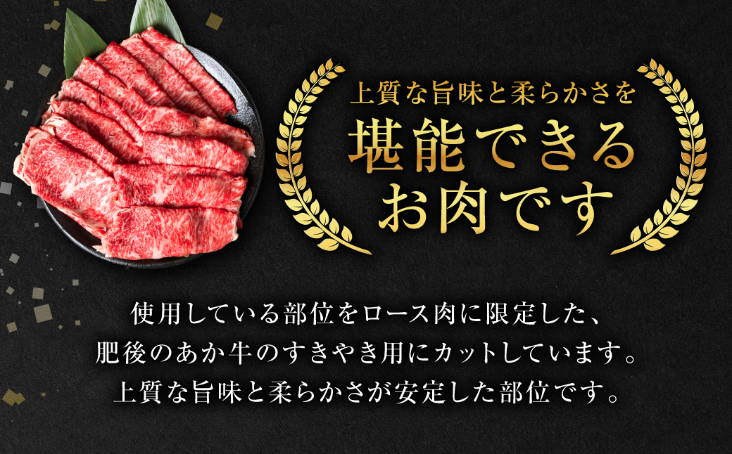 【定期便6回】肥後のあか牛 ロースすきやき しゃぶしゃぶ 500g(250g×2) 