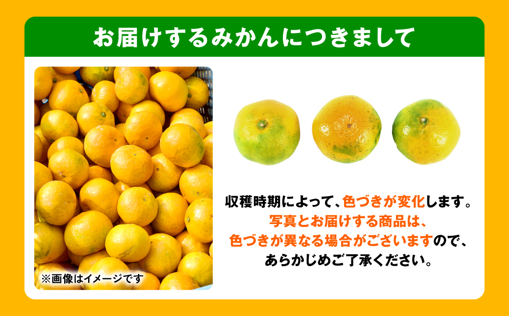 【訳あり】熊本県産 みかん サイズミックス 約5kg