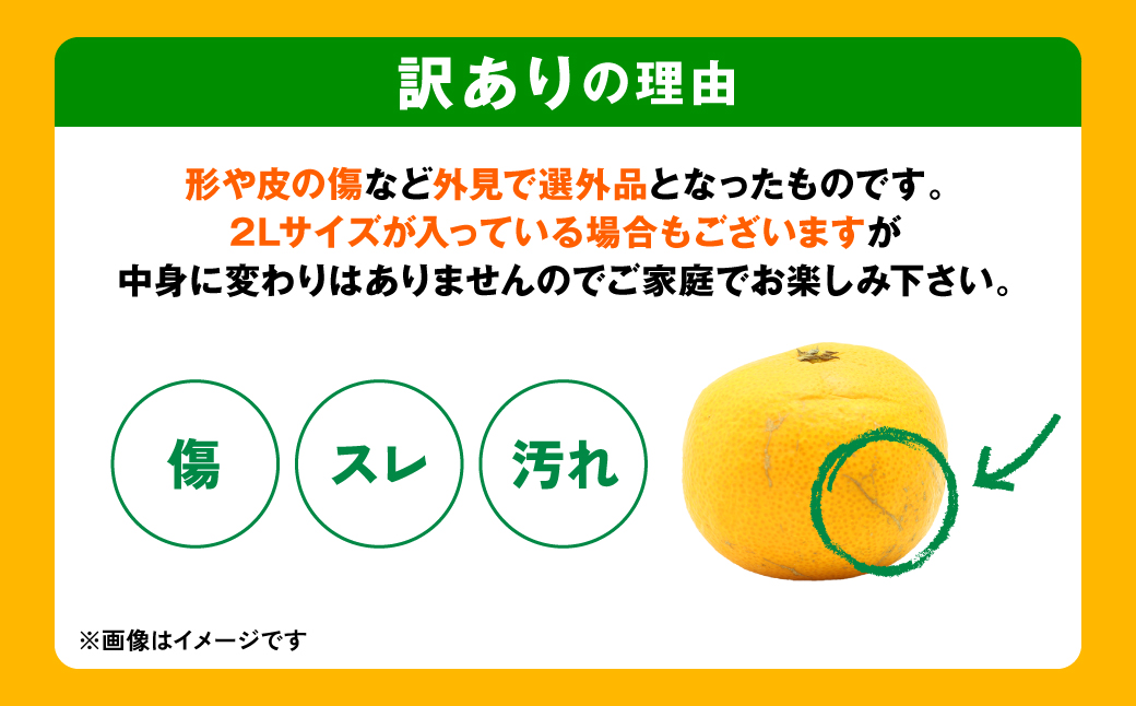 【訳あり】熊本県産 みかん サイズミックス 約5kg