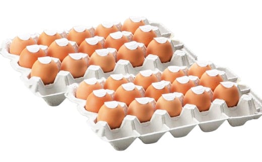 【定期便 奇数月 6回】卵かけごはん専用 あさひ卵 L玉サイズ×30個