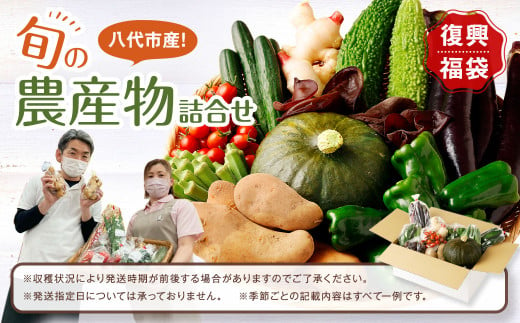 八代市産 旬の農産物詰合せ 復興 福袋 8品以上 野菜 果物 東陽地区