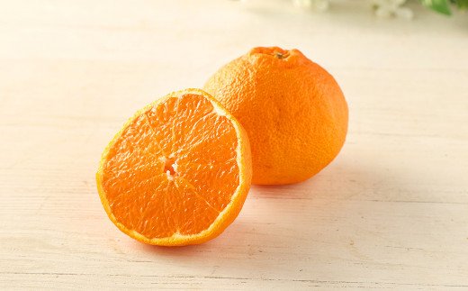 【先行予約】熊本県産 旬の柑橘 詰め合わせ 3種以上 3kg以上 甘夏 河内晩柑 パール柑 ネーブル 不知火