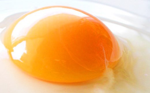 【定期便 奇数月 6回】卵かけごはん専用 あさひ卵 L玉サイズ×30個