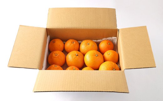 【先行予約】熊本県産 旬の柑橘 詰め合わせ 3種以上 3kg以上 甘夏 河内晩柑 パール柑 ネーブル 不知火