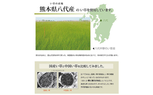 い草上敷き【清正】江戸間6畳