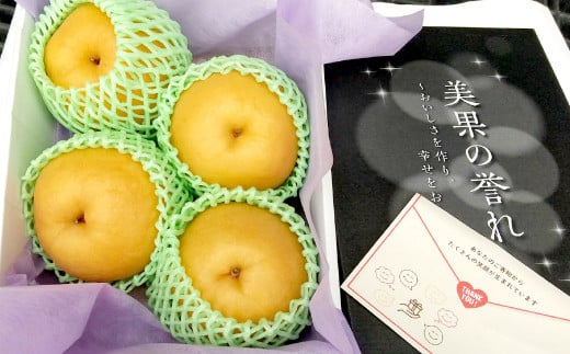  品種お楽しみ 熊本県産 梨 約2kg (3玉～4玉)  フルーツ 果物