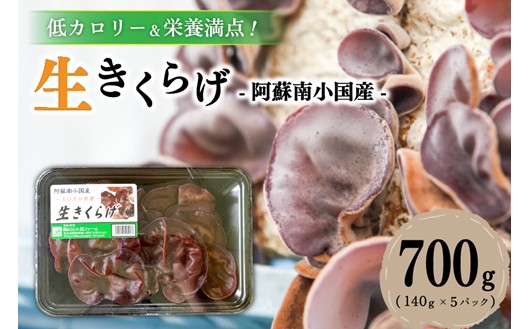 低カロリー＆栄養満点！阿蘇・南小国産の肉厚生きくらげ（140g×5パック