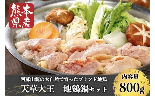 【熊本県産】天草大王 地鶏鍋セット 熊本県産 鶏 鶏肉 地鶏 もも むね つくね スープ 鶏ガラ 濃厚 鍋 セット スープ付き 熊本 阿蘇 南小国町 送料無料