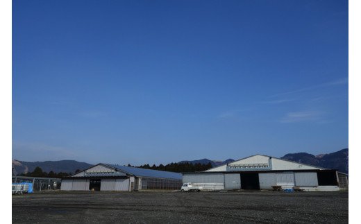 【熊本県産】 あか牛 ランプステーキ 300g 熊本県産 くまもとあか牛 国産牛 国産 牛肉 牛 赤身 ステーキ ランプ ステーキ肉 熊本 南小国町 送料無料